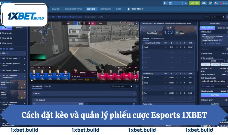 Cách đặt kèo và quản lý phiếu cược Esports 1XBET