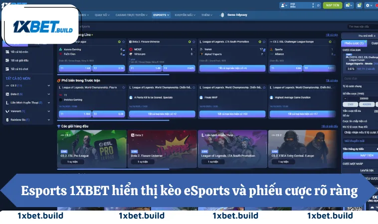 Esports 1XBET hiển thị kèo eSports và phiếu cược rõ ràng