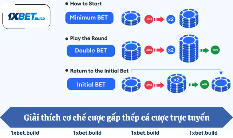 Giải thích cơ chế cược gấp thếp cá cược trực tuyến