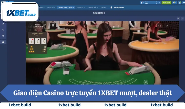 Giao diện Casino trực tuyến 1XBET mượt, tốc độ ổn định, dealer thật